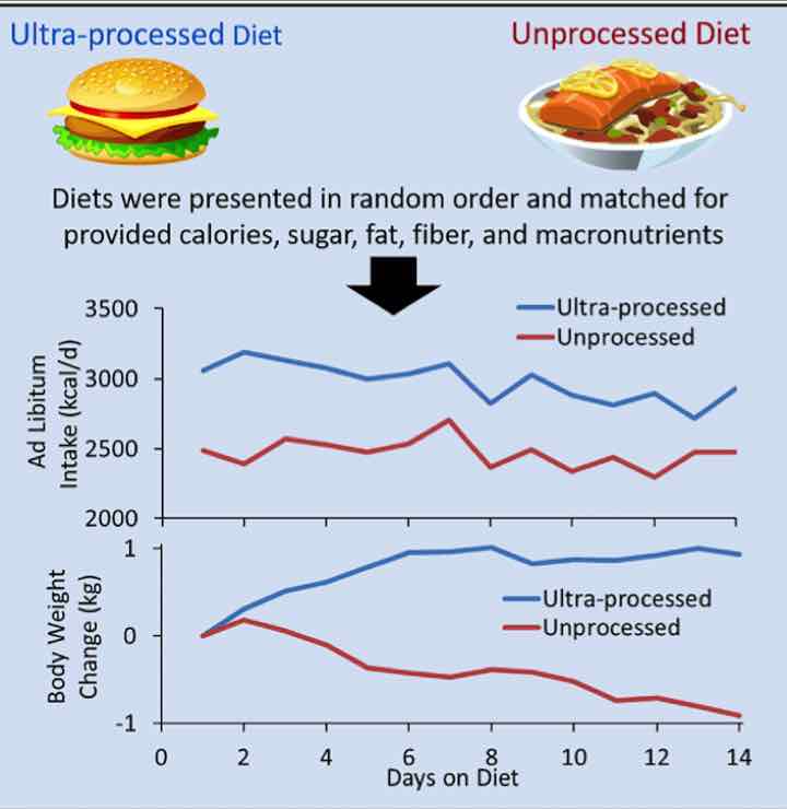 Risultati dello studio sugli alimenti ultra-processati